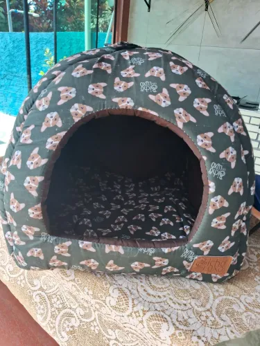 Casinha de cachorro porte pequeno nova ficou pequena para meu cao