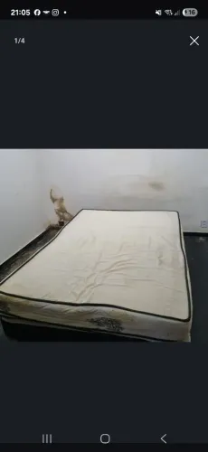 Vendo!