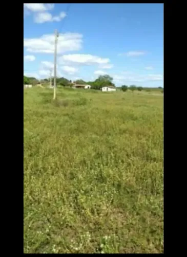 Fazenda com 110 hectares próximo a cajazeiras sentido São pedro do Potengi