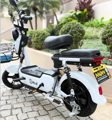 Scooter elétrica DX 600w