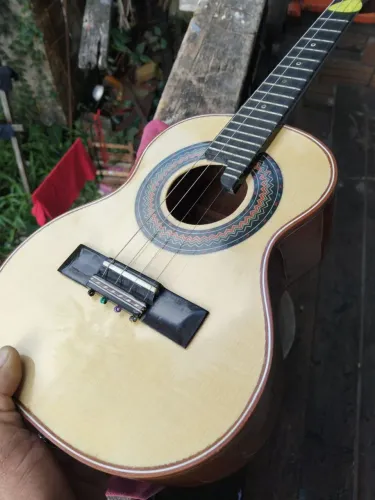 Cavaco Márcio Luthier