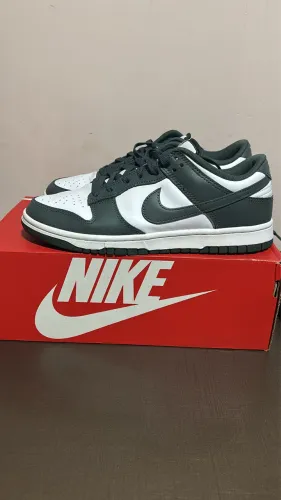 Nike dunk low retro