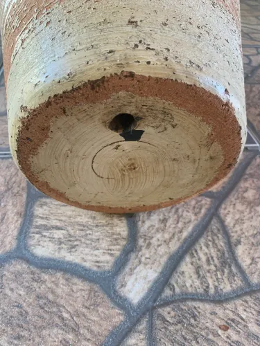 Vaso de plantas 