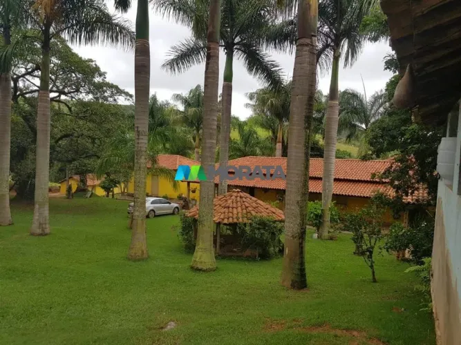 FAZENDA À VENDA - 55 HECTARES - LAGOA DOURADA (MG)