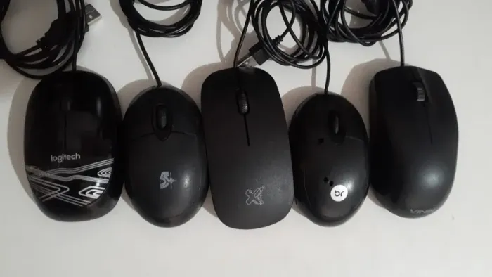 Mouse