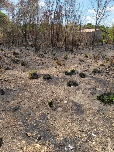 Vendo um terreno de 10x30 no loteamento parque porto alegre.