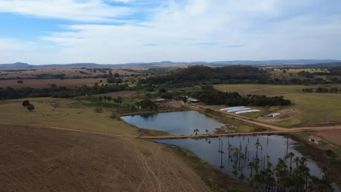 Fazenda 67 alqueires - Lavoura!