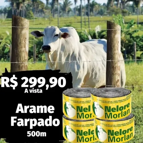 Arame Farpado 500m - Nelore Morlan