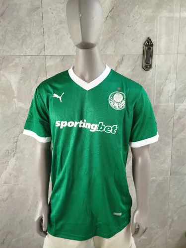 Camisa Palmeiras Verde Puma 2025 torcedor