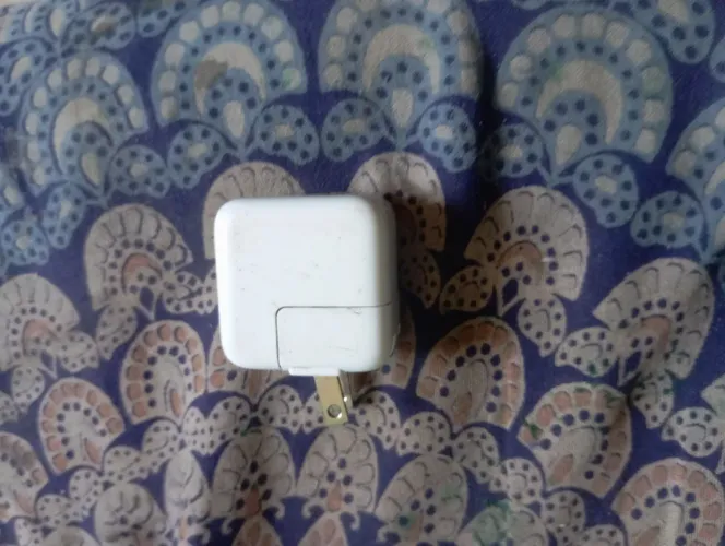 Carregador Apple. 50 reais. *