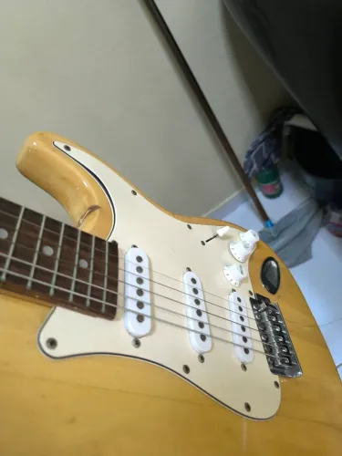 Guitarra Stratocaster finch