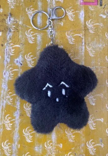 pelucia mark lee