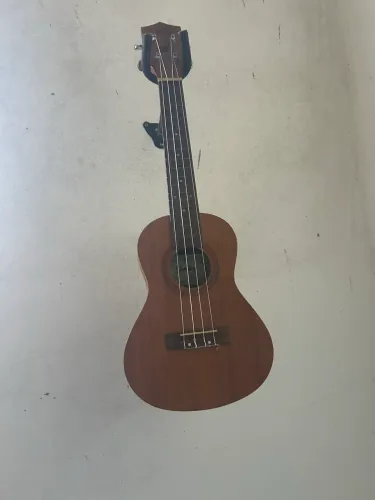 Ukulele concert