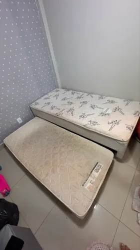 Bicama