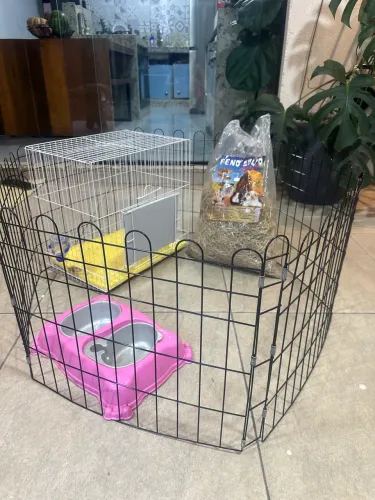 Kit completo para coelho