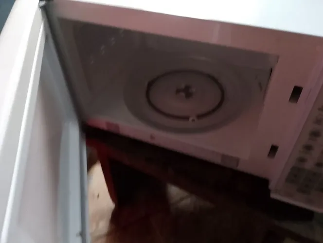 Freezer e microondas 