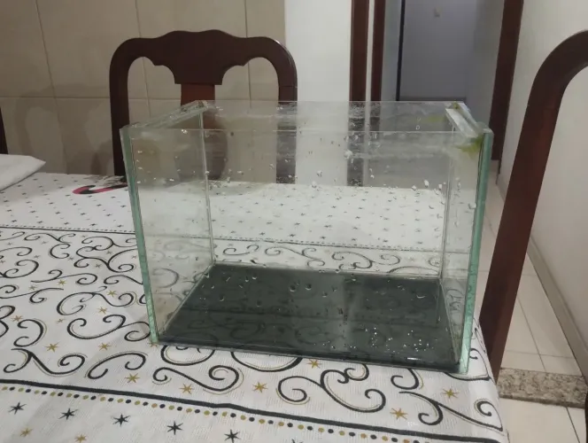 Aquário tamanho médio 