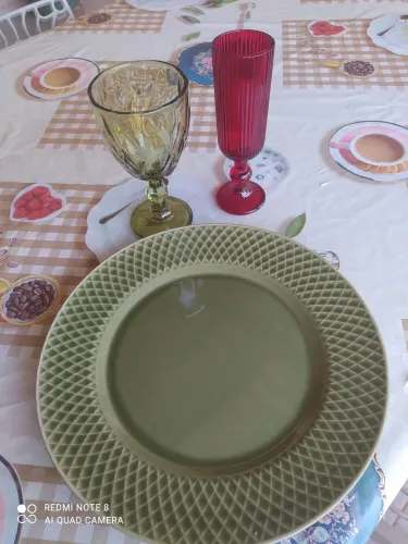 Pratos rasos
