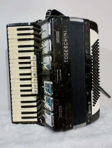Acordeon Todeschini 120 baixos
