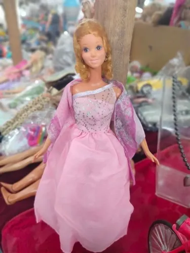 Bonecas Barbies...