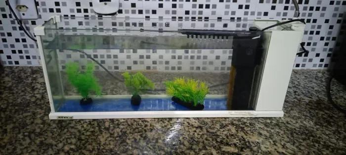 Aquário sob medida com bomba d'água 50x10x20. 10 litros