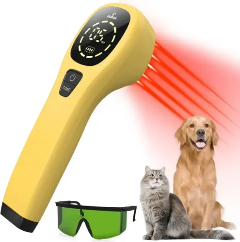 Laser Para Terapia Cães e Gatos - Novo