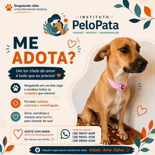 Adote