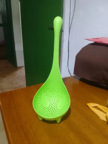 35C_ concha nessie