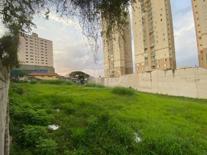 Terreno para aluguel, Vila Helena - Santo André/SP