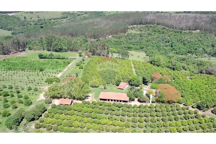 Sítio São Pedro da Serrinha, em produção de frutas, à venda, em Analândia/SP, km 60