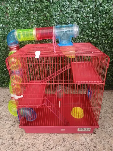 Gaiola para Ramister.