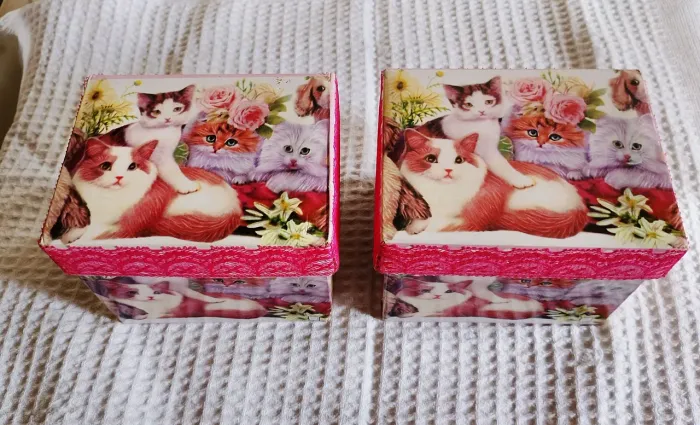 Conjunto c/ 2 caixinhas de papel cartão grosso c/ acabamento couchê e estampa de bichinhos