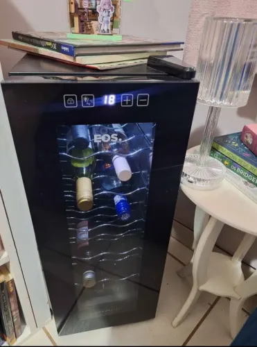 Adega pouco uso 10 garrafas
