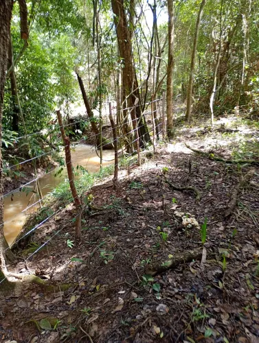 Propriedade de piscicultura 