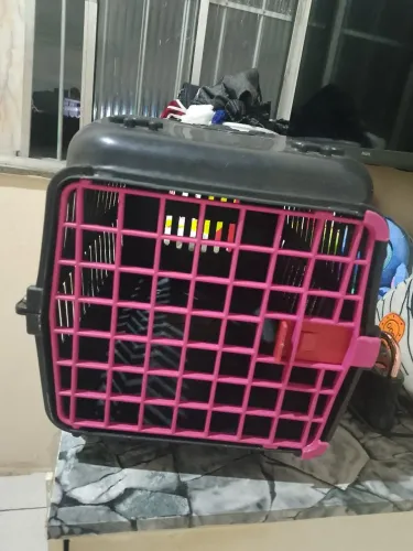 Trasporte de Pet