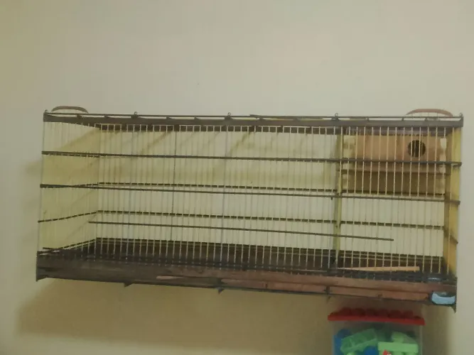 Gaiola voador