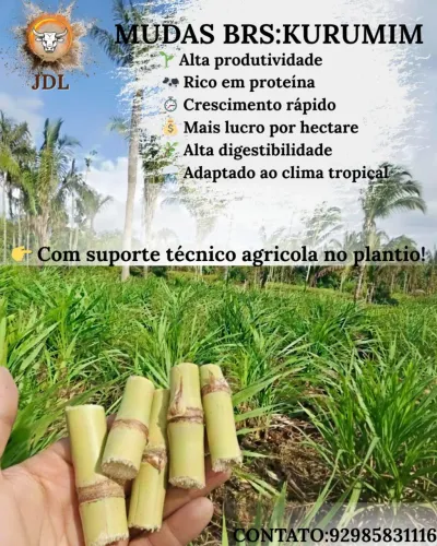 QUER AUMENTAR SUA PRODUÇÃO?