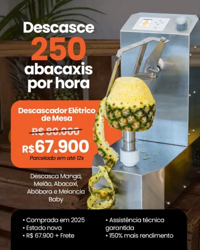 Descascadora Automática de Abacaxi, Manga e Melão KA-750 - Seminova