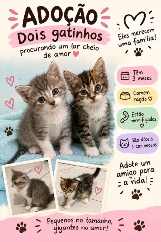 Doacao 