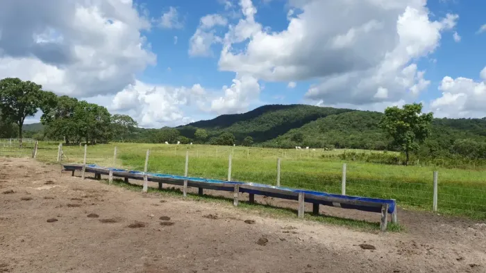 Fazenda - Crixás (GO)