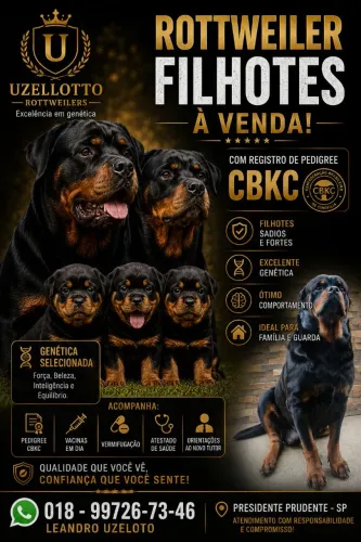 Filhotes de Rottweiler com Pedigree CBKC