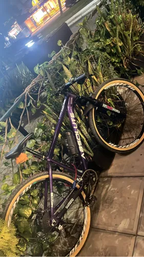 Bicicleta absolute aro 29