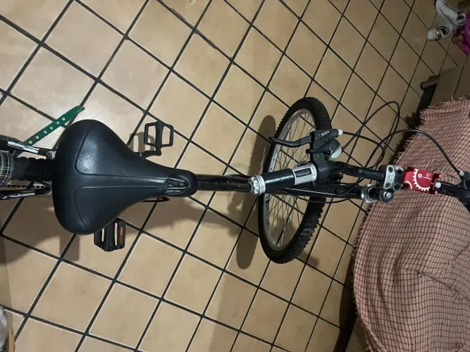 Bicicleta de Marcha 