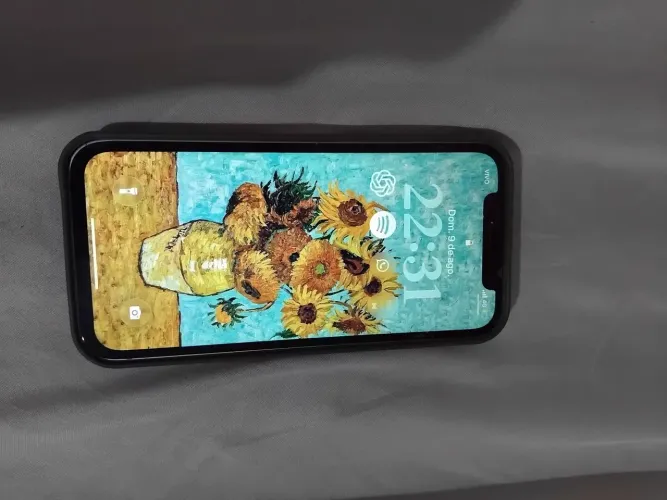 Celular