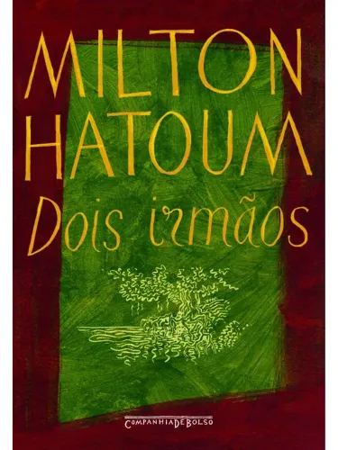 Livro Dois irmãos
