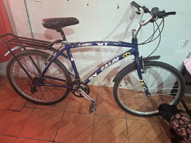 Bicicleta