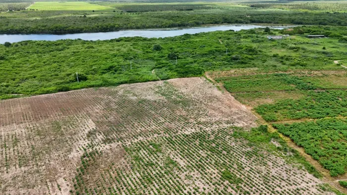 fazenda com 170 hectares com 2 pivôs em Touros em plena atividade um luxo