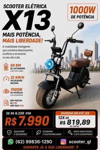 Scooter x13 1000w