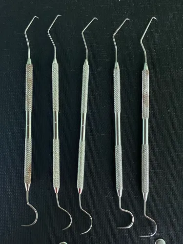Sonda exploradora n° 5