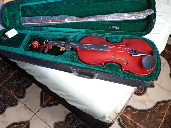 Violino semi-novo